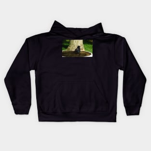 Common Starling In A Bird Bath Kids Hoodie